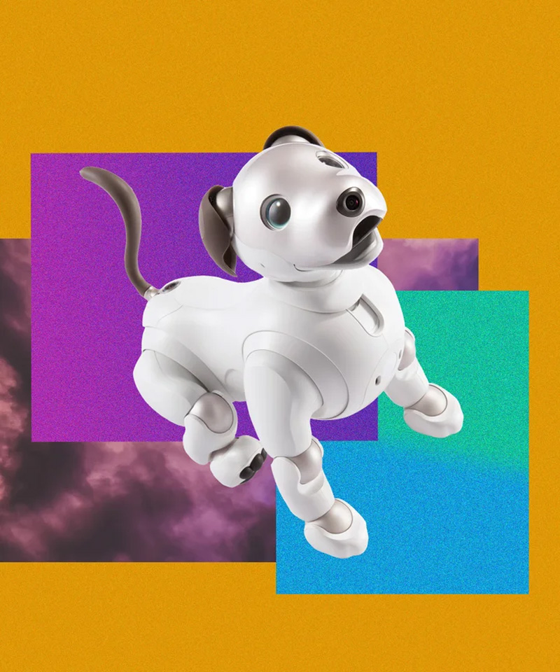 Trải nghiệm cuộc sống cùng Chú Chó Robot Sony Aibo